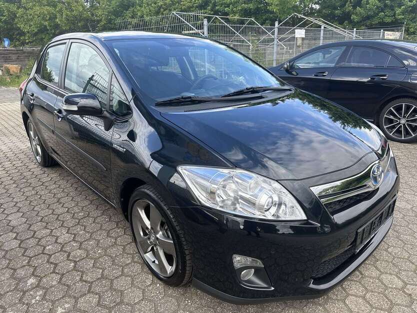 Auris