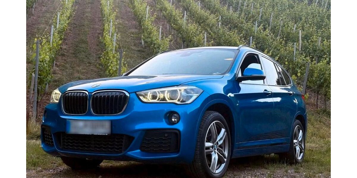 BMW X1 133.428 km 21.300 &euro; Rheinbach 53359