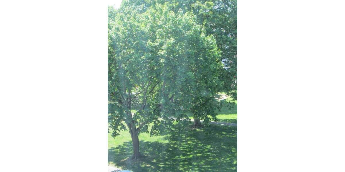 Etagenwohnung Alfter / Bonn Oedekoven - 2 Zimmer, 56 m&sup2;, 239.000&euro; | Angebot:25897493