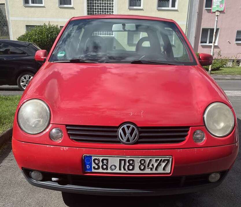 Lupo