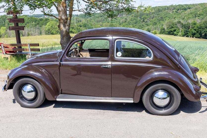 VW Käfer 159.000 km 56.000 € Windhagen 53578