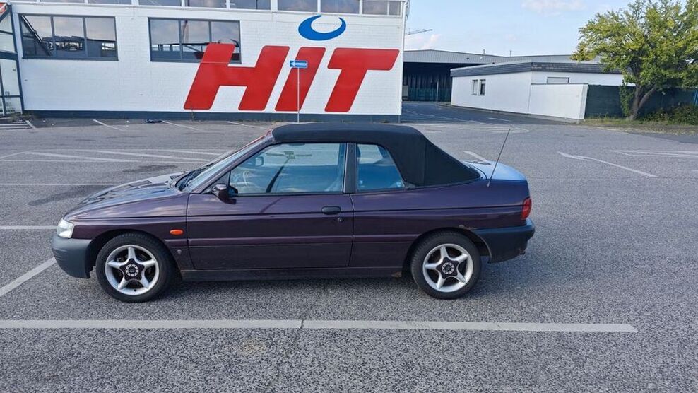 Escort
