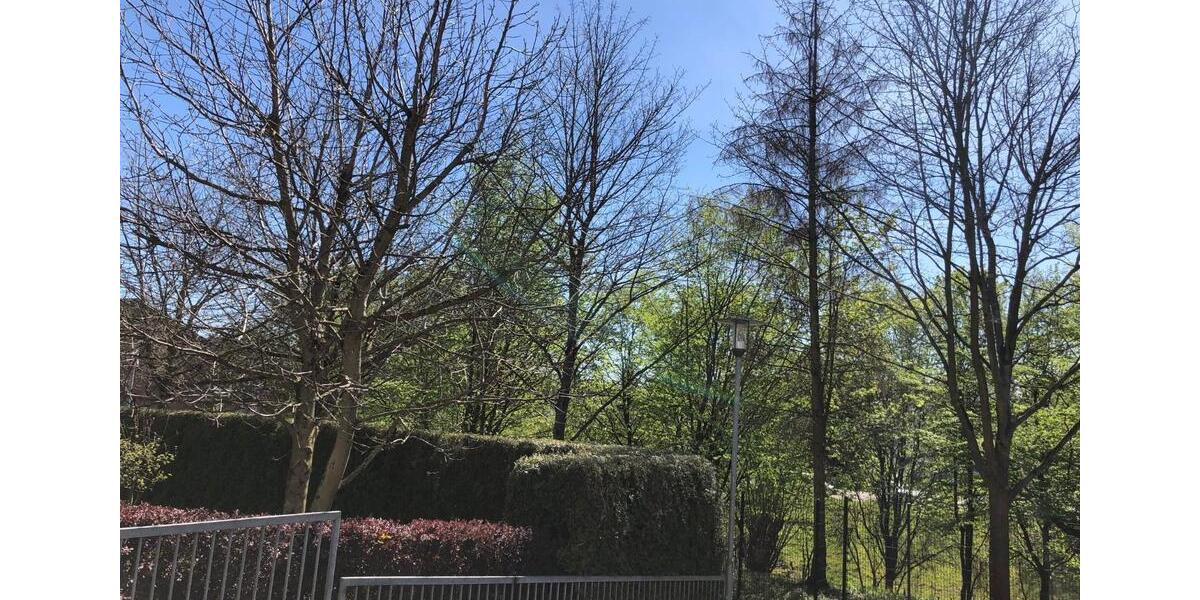 Garagen / Stellplätze Bergisch Gladbach Paffrath - 65&euro; | Angebot:26132448