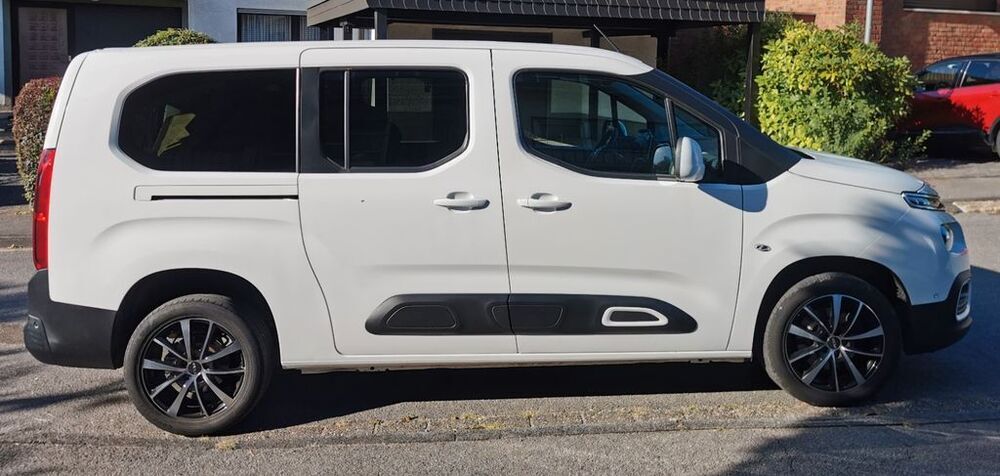 Berlingo