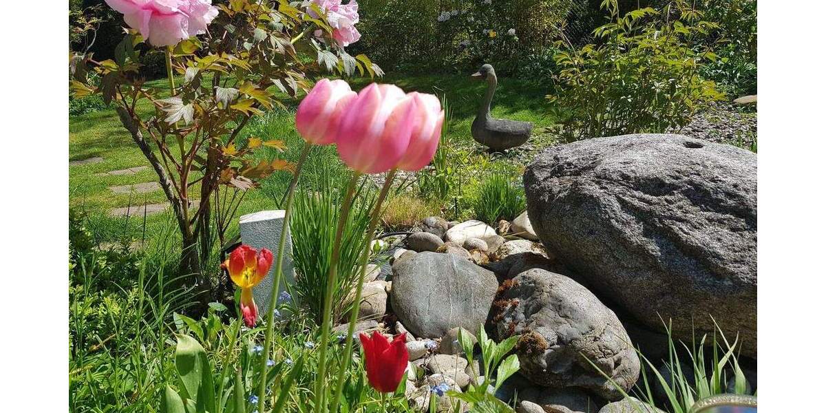 Doppelhaushälfte Köln Müngersdorf - 7 Zimmer, 320 m&sup2;, 1.750.000&euro; | Angebot:25702045