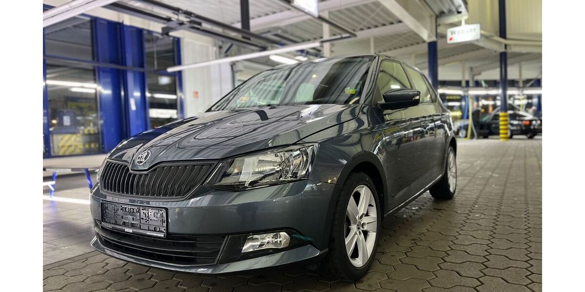 Skoda Fabia 100.000 km 7.999 &euro; Brühl (Nähe Köln) 50321