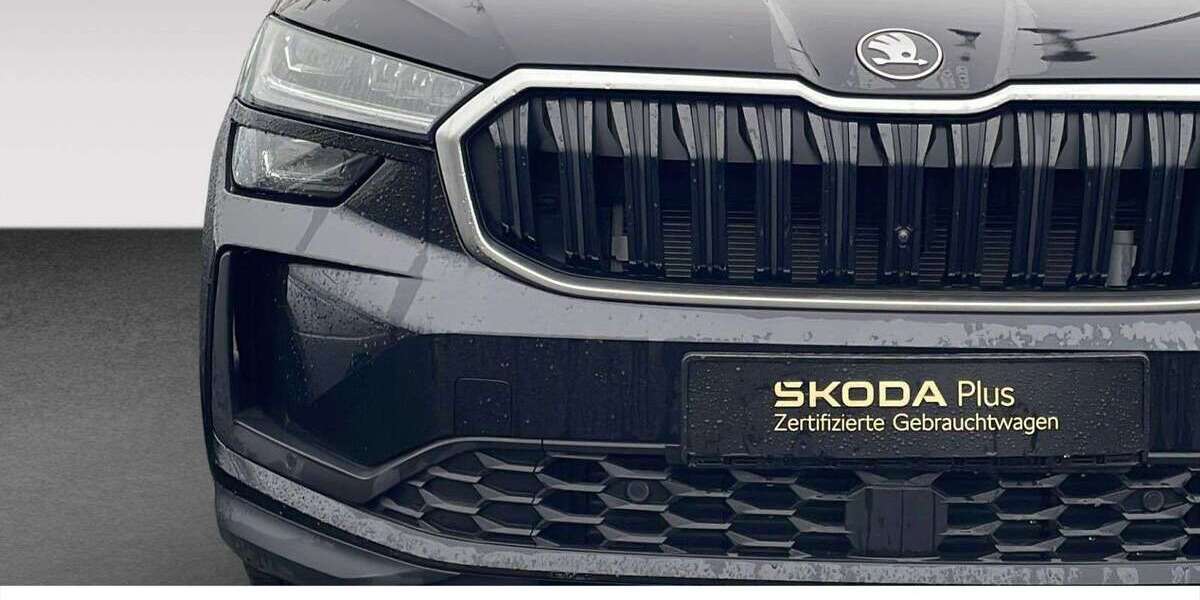 Skoda Kodiaq 16.900 km 44.880 &euro; Bonn 53227