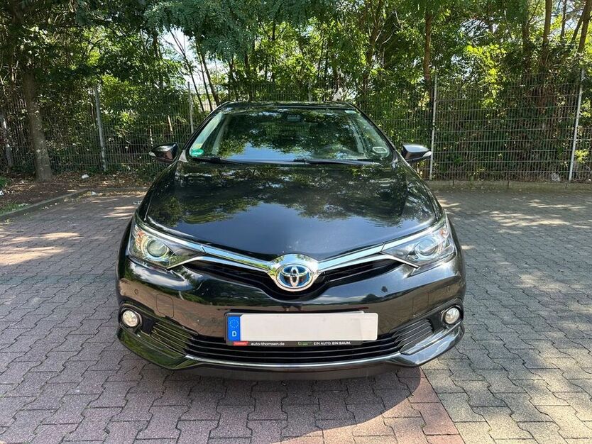 Auris