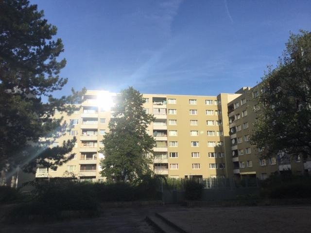 Perfekt für Familien: frisch sanierte 4-Zimmer-Wohnung zimmer