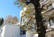 Wohnung zum Mieten in Bonn 1.500 € 95.2 m² 3 zimmer