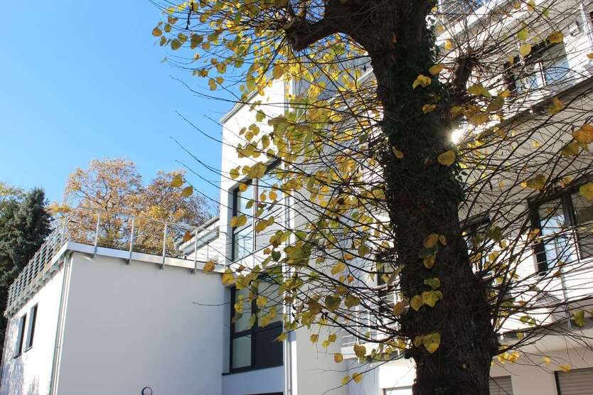 Wohnung zum Mieten in Bonn 1.500 € 95.2 m² 3 zimmer