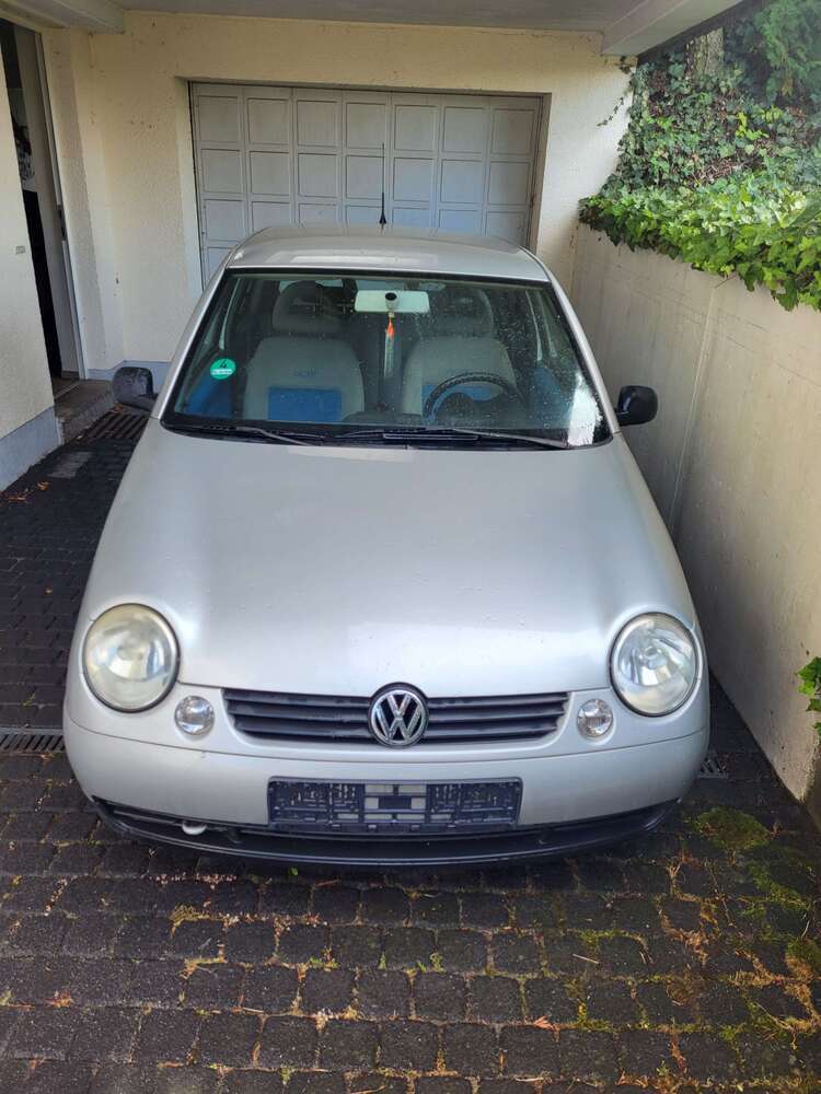 Lupo