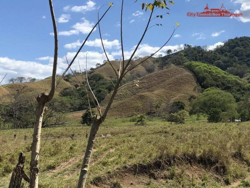 Grundstück in Costa Rica in einer der blauen Zonen der Erde zimmer