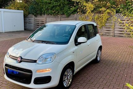 Fiat Panda 37.200 km 8.300 € Troisdorf 53842