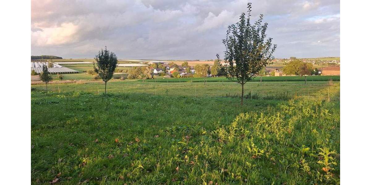 Einfamilienhaus Grafschaft Ringen - 6 Zimmer, 230 m&sup2;, 475.000&euro; | Angebot:25725896