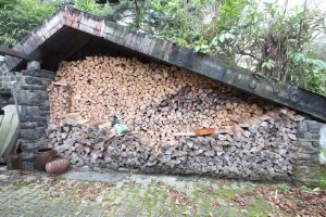 Freistehendes Haus mit liebevoll angelegtem Garten am Waldrand - Einfamilienhaus Bonn - Oberkassel Oberkassel | Angebot:24819986
