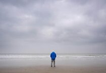 Ozean mit David Attenborough