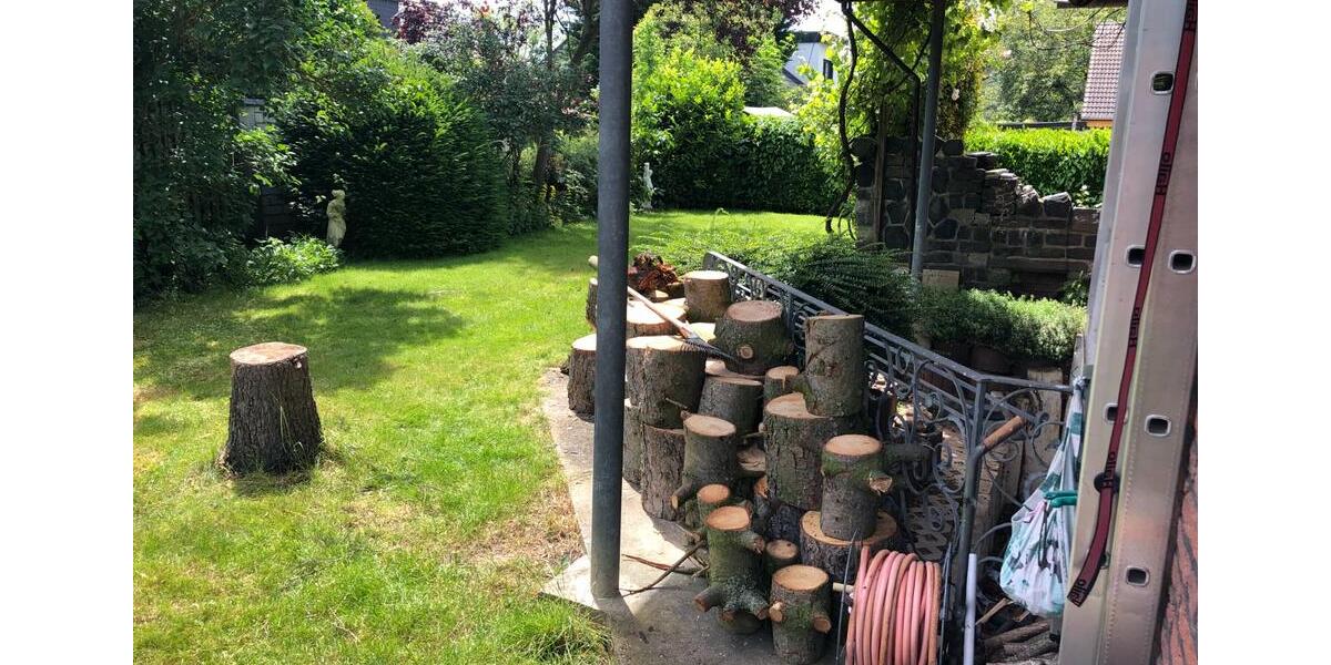 Einfamilienhaus Meckenheim - 6 Zimmer, 250 m&sup2;, 595.000&euro; | Angebot:24659101