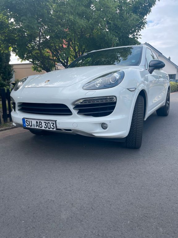 Cayenne