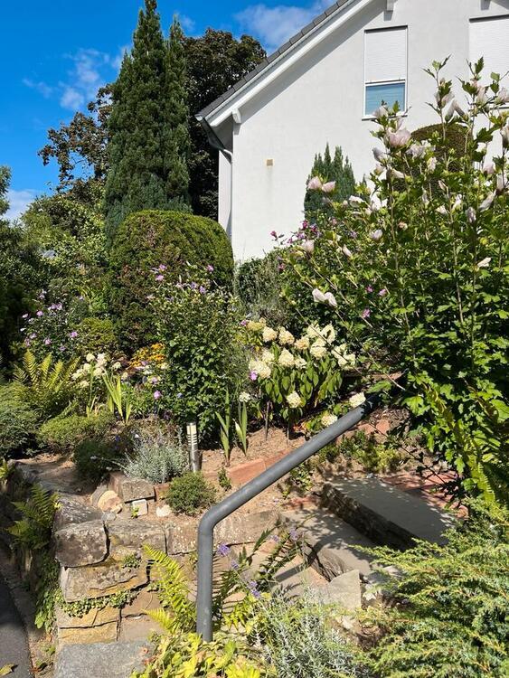 2- Zimmer-Wohnung in Bensberg nahe Busbahnhof zimmer