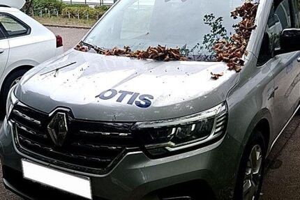 Renault Kangoo 74.480 km 19.500 &euro; Hennef 53773