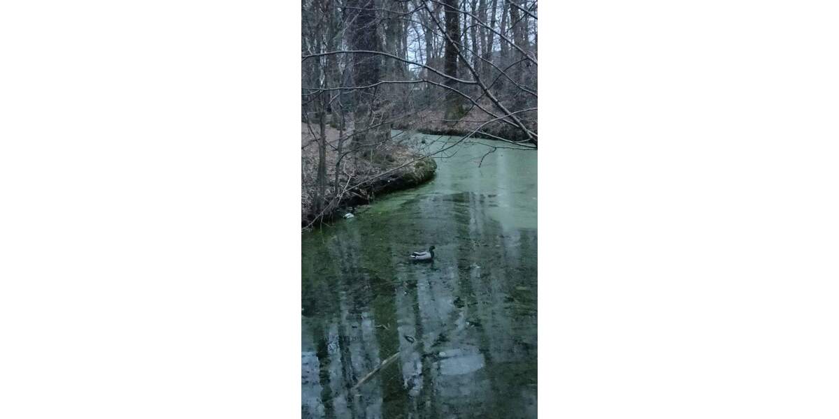 Etagenwohnung Troisdorf Troisdorf-Mitte - 4 Zimmer, 83 m&sup2;, 236.000&euro; | Angebot:24780452