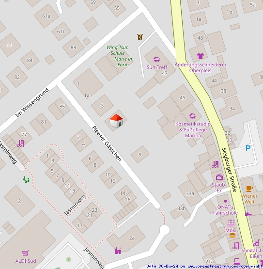 Top Einfamilienhaus in Oberpleis - Einfamilienhaus Königswinter / Oberpleis Oberpleis | Angebot:23818119