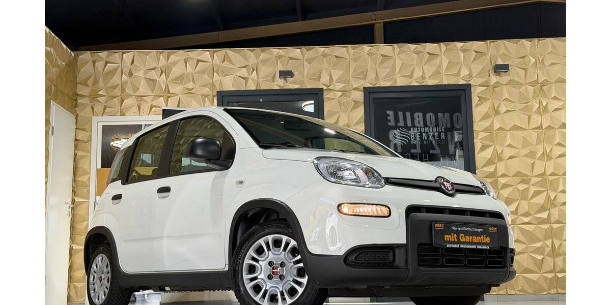 Fiat Panda 9.314 km 10.900 &euro; Wirges 56422