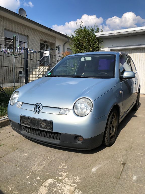 Lupo