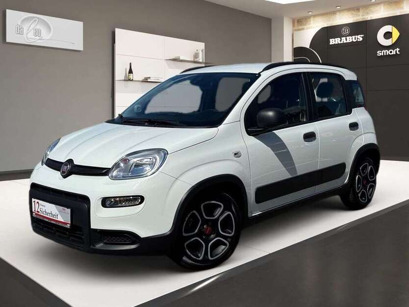 Panda