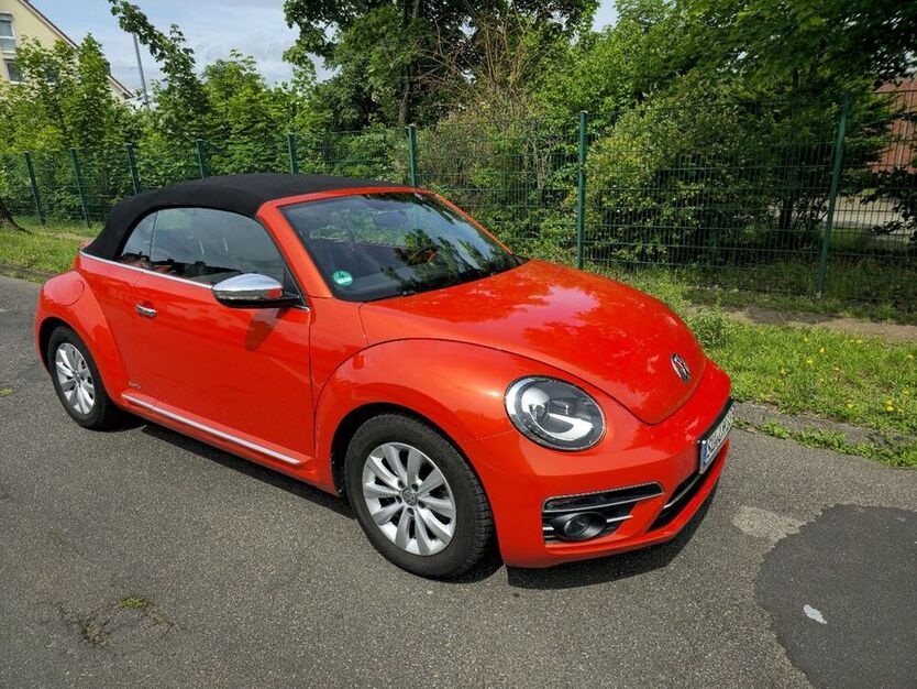 Beetle