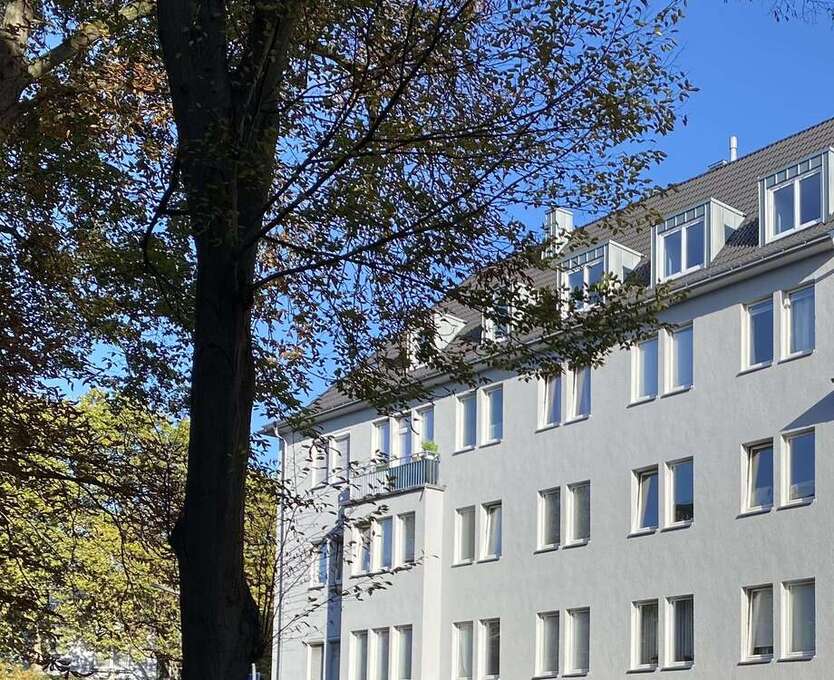 Wohnung zum Mieten in Köln 520 € 36.5 m²