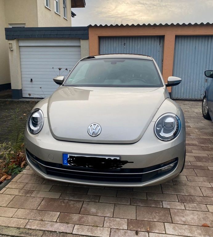 Beetle
