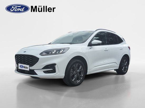 Kuga