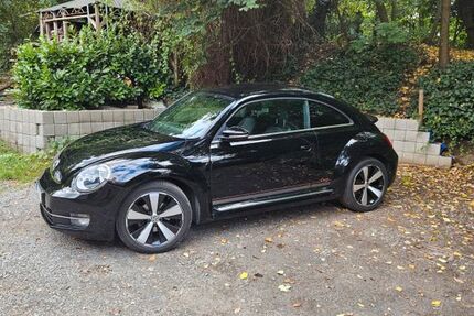 VW Beetle 79.515 km 11.000 € Köln 51067