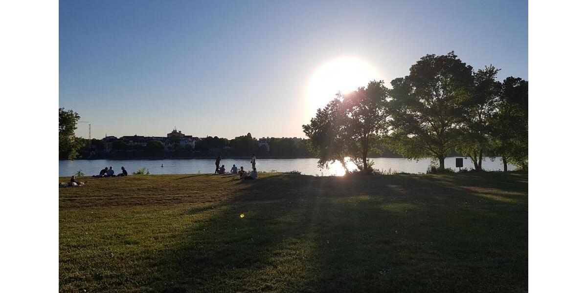 Etagenwohnung Bonn Beuel-Mitte - 1 Zimmer, 40 m&sup2;, 1.295&euro; | Angebot:24099612