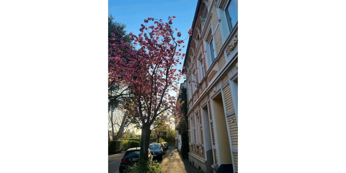 Zimmer in Haus WG frei, Beuel ️‍ zimmer