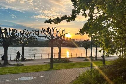 Wohnung Bonn Beuel-Mitte - 4 Zimmer, 110 m&sup2;, 2.500&euro; | Angebot:25872750