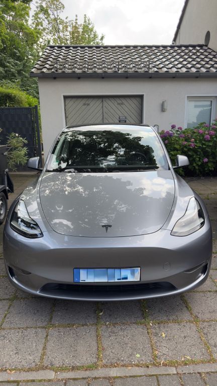 Model Y