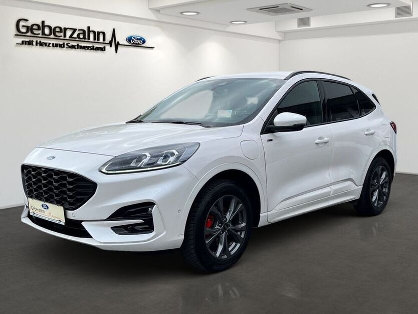 Kuga