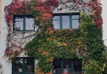 Schönes Haus mit 7 Zimmern in Bonn, Beuel 7 zimmer