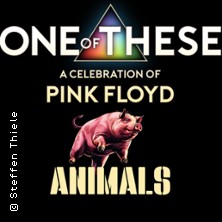 One Of These – A celebration of Pink Floyd / Animals Tour 28.08.2026 Kleines Theater Bad Godesberg