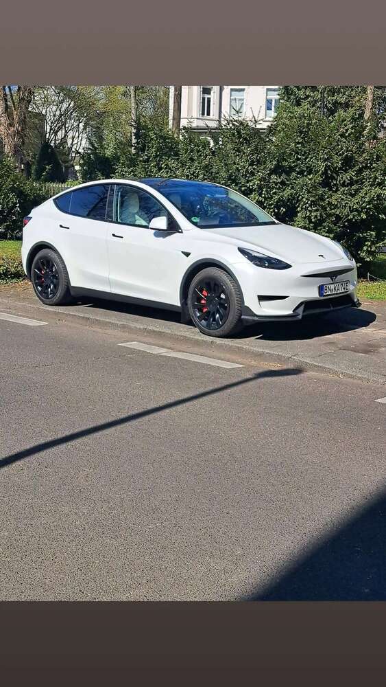 Model Y