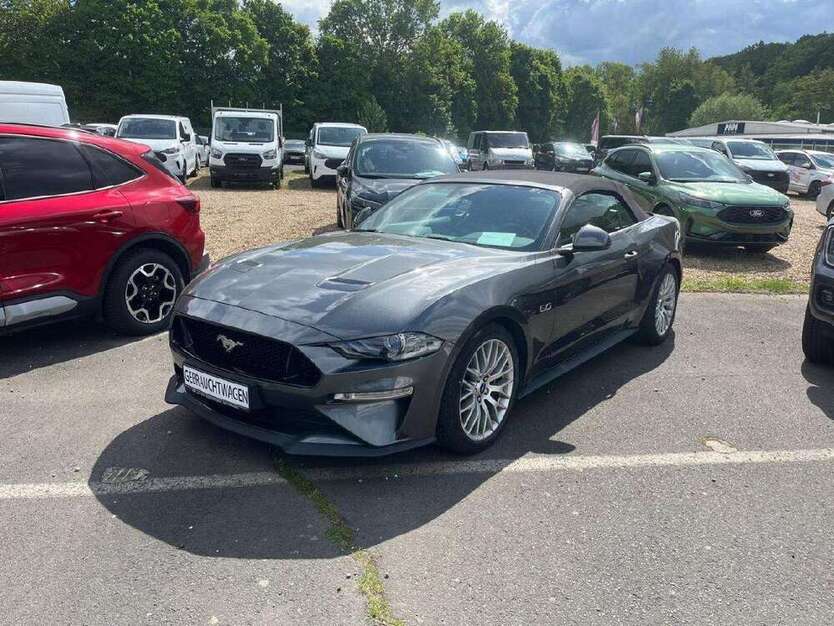 Mustang
