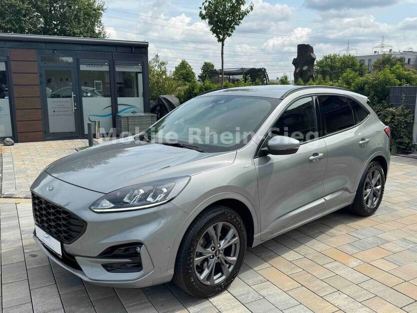 Kuga
