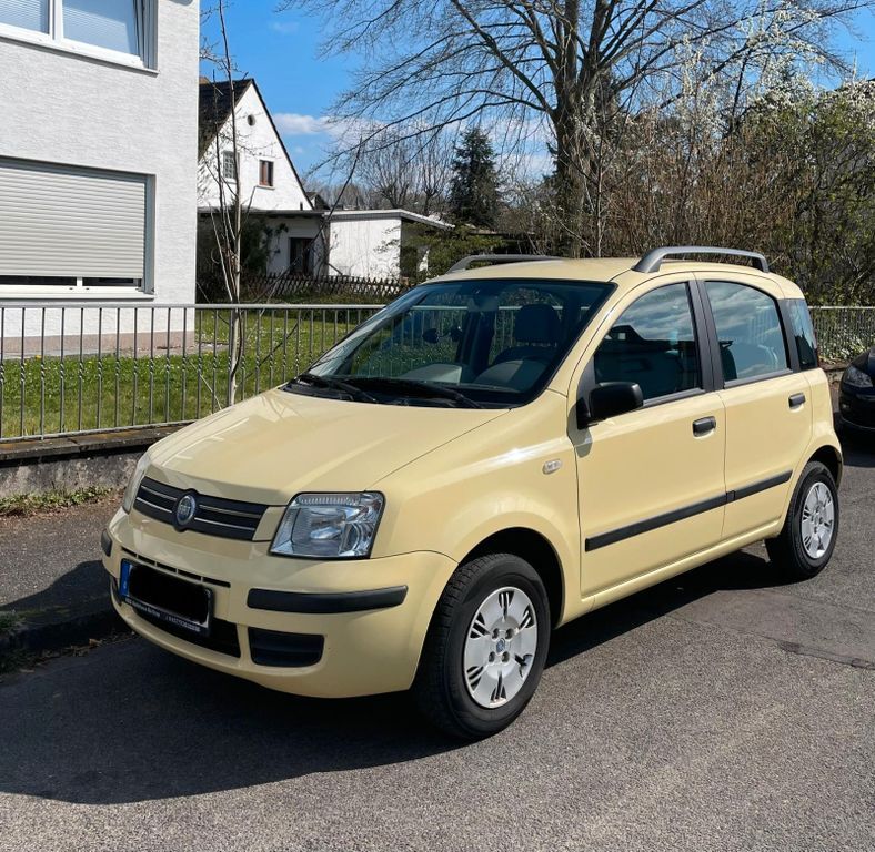 Panda