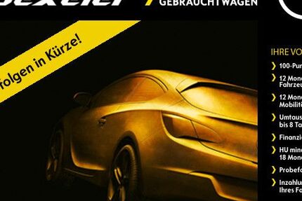 Opel Zafira 88.000 km 17.490 &euro; Bornheim 53332