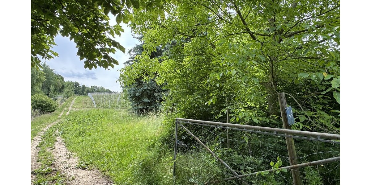 Der Neuenhof 7 zimmer