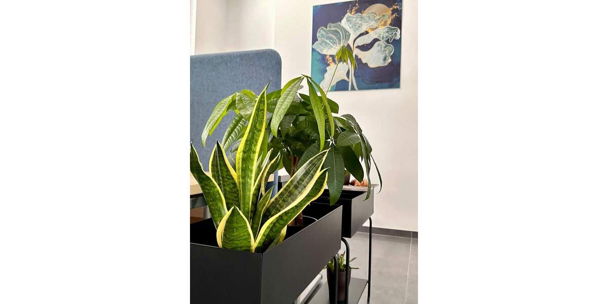 Gewerbeobjekt Brühl - 750&euro; | Angebot:25906322