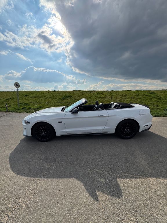 Mustang
